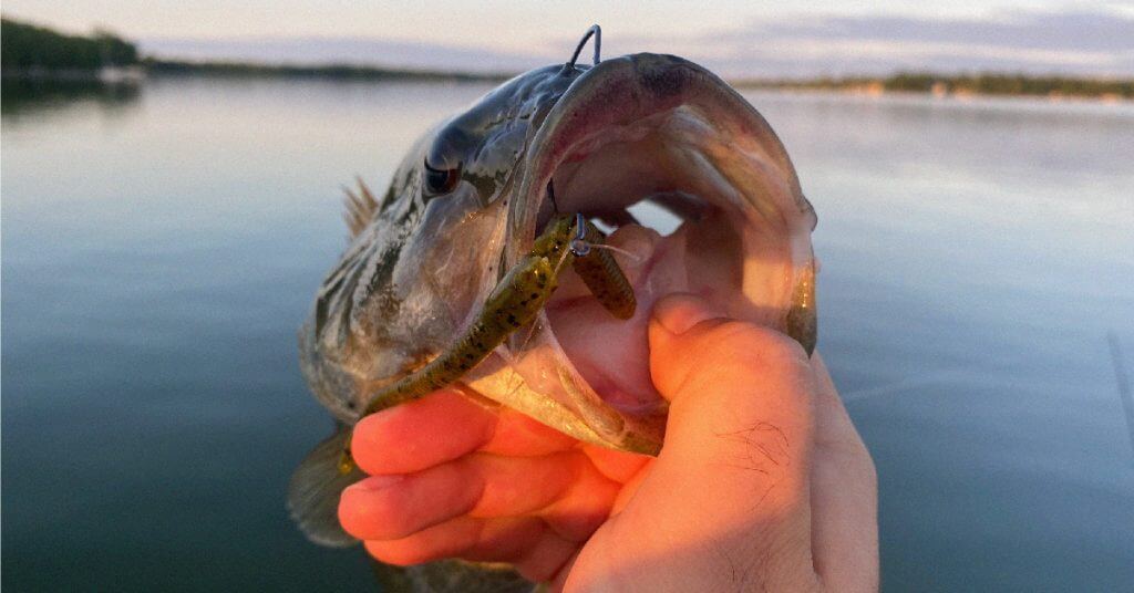 How to Catch Big Bass: All the Tips You Need to Reel in a Big One