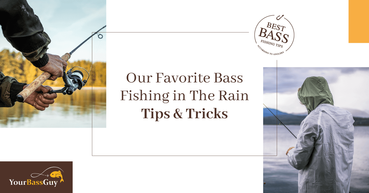 Bass Fishing In The Rain Tips And Tricks | Your Bass Guy