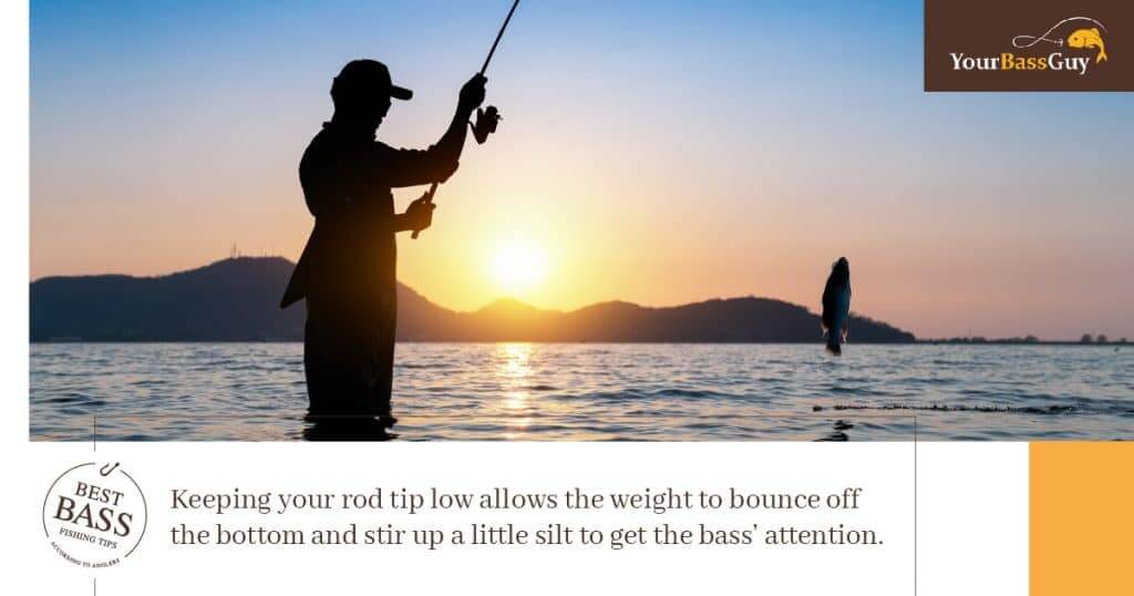 How to fish a Carolina Rig