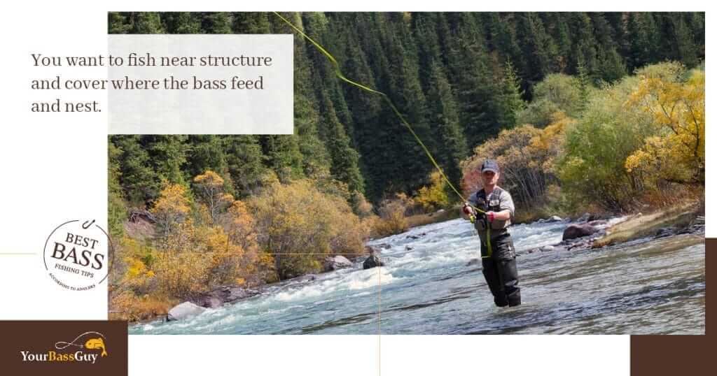 How to fly fish for bass
