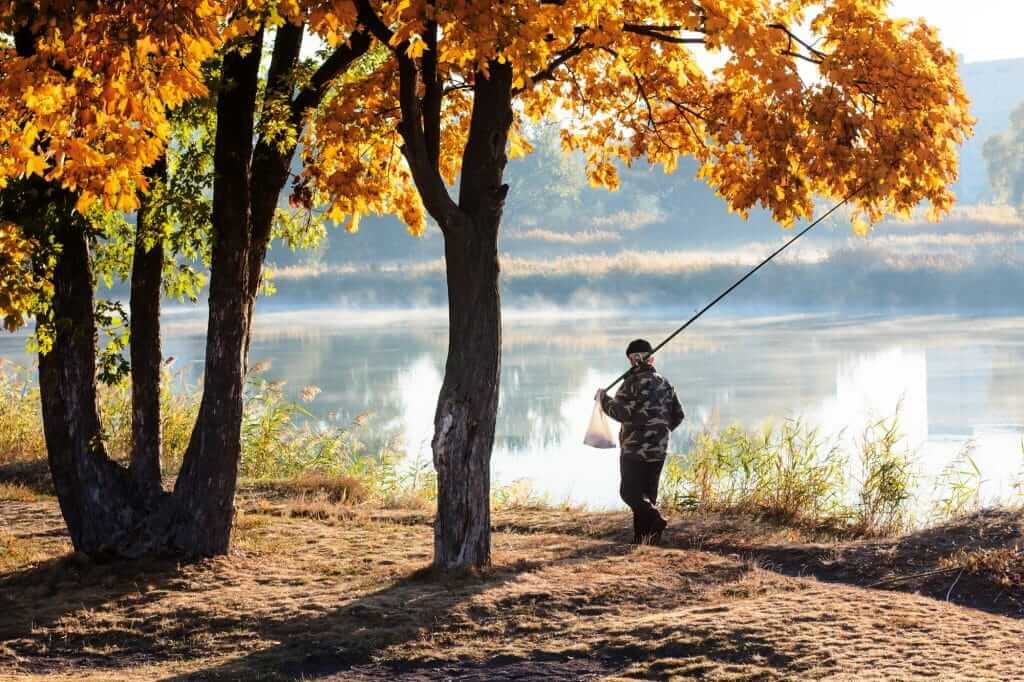 Autumn landscape in city park. Fisherman walking on path along foggy river. Orange trees on river bank