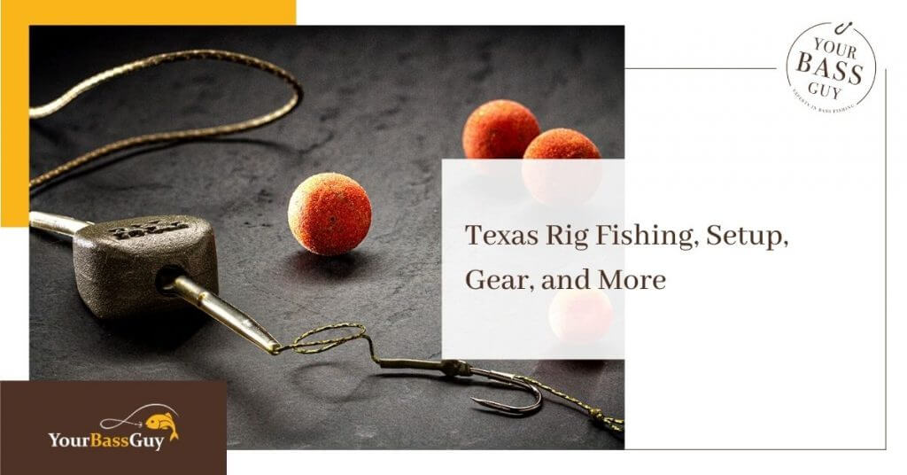 Texas Rig fishing technique
