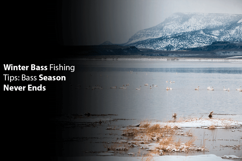 Winter Bass Fishing Tips: Bass Season Never Ends