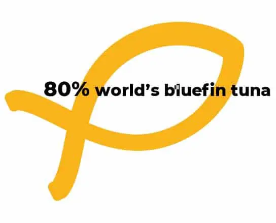 Overfishing infographic - "80% world's bluefin tuna"