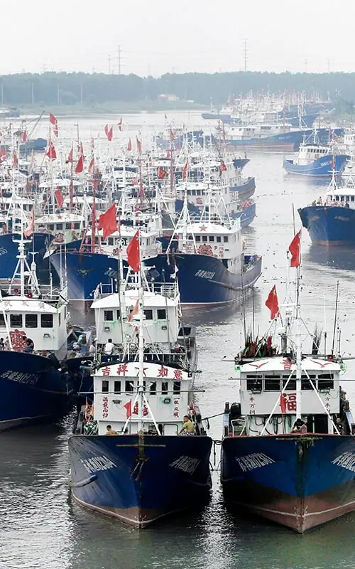 Overfishing - "Fishing boats on the water with asian writing on the sides"