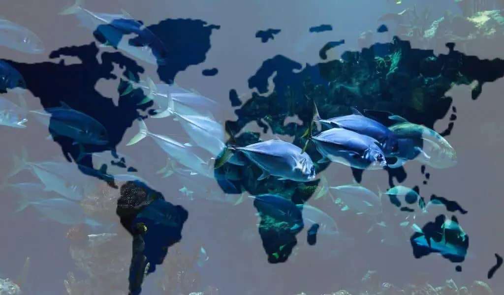 Countries that are overfishing