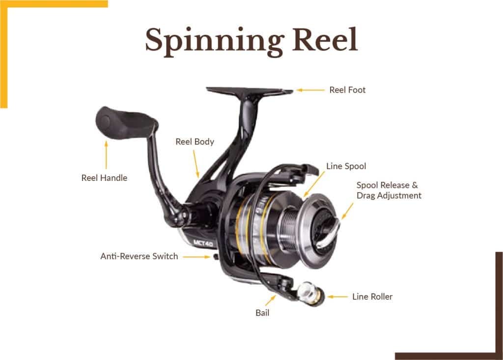 Five Types of Fishing Reels: Detailed Break Down of Each