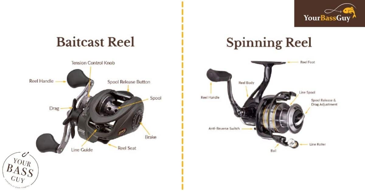 Baitcaster Vs Spinning Reel: Simplified For All Skill Levels