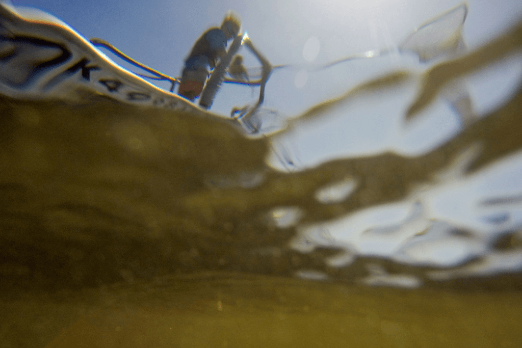 Man take fish from underwater