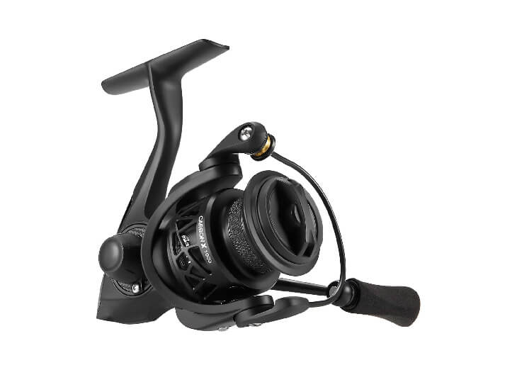Piscifun Carbon X Spinning Reel.