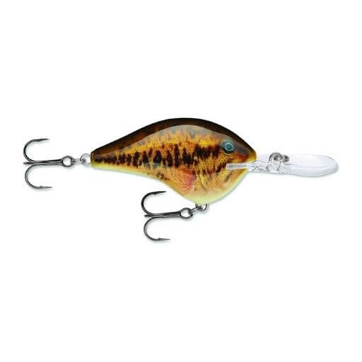 https://yourbassguy.com/wp-content/uploads/2021/09/rapala-dives-to-10.jpg