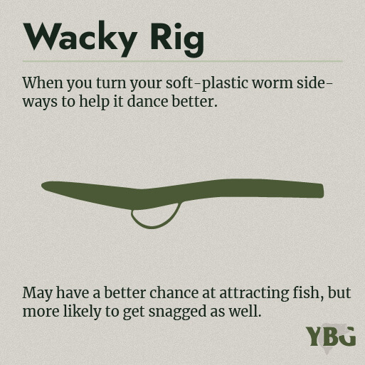 Wacky Rig: When you turn your soft-plastic worm sideways to help it dance better