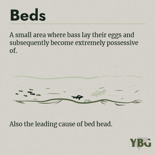 Beds: A small area where bass lay their eggs