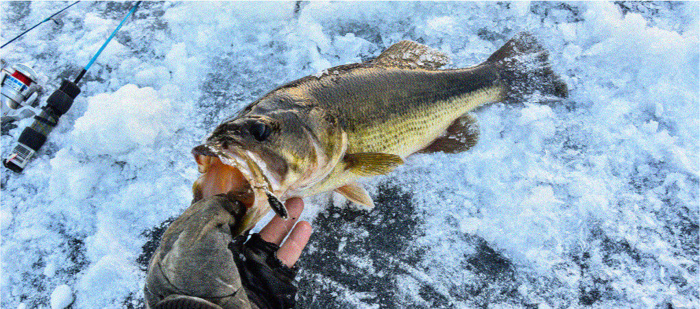 Winter bass fishing