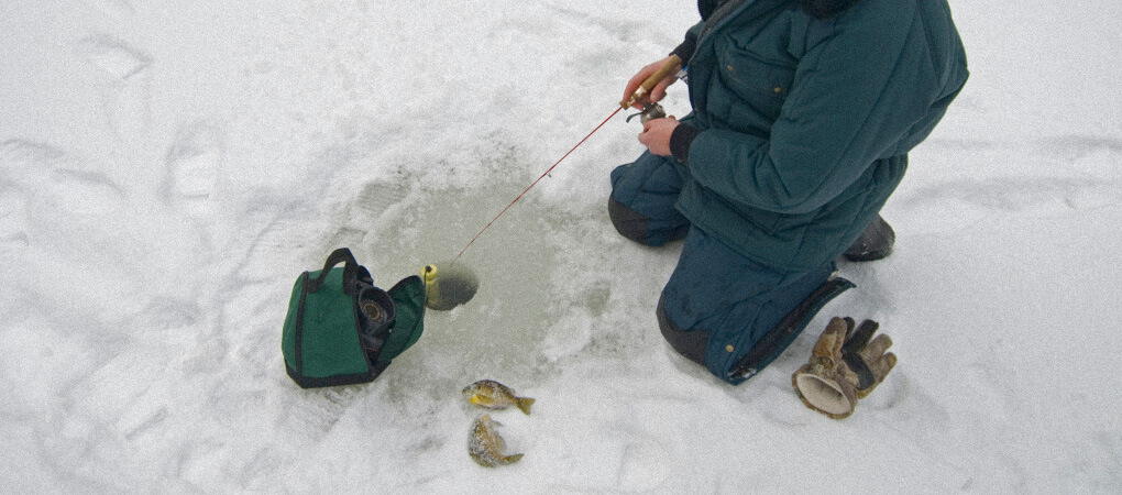 Ice fishing camera