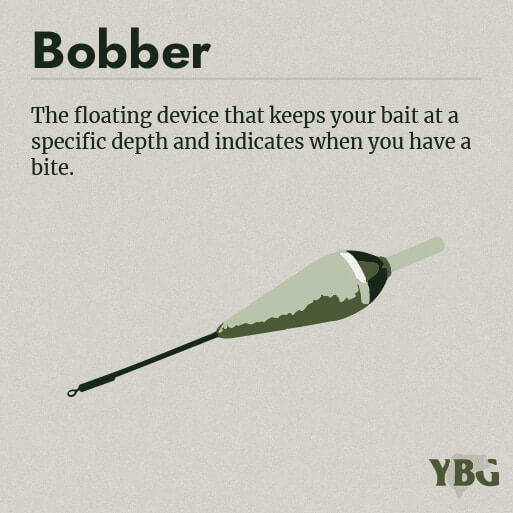 Bobber: The floating device that keeps your bait at a specific depth