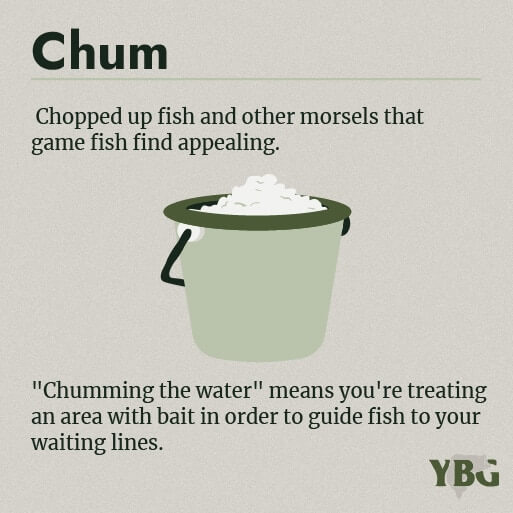 Chum: Chopped up fish and other morsels