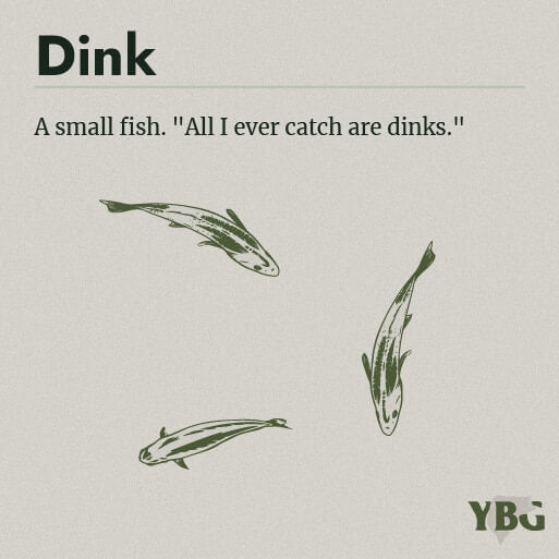 Dink: A small fish