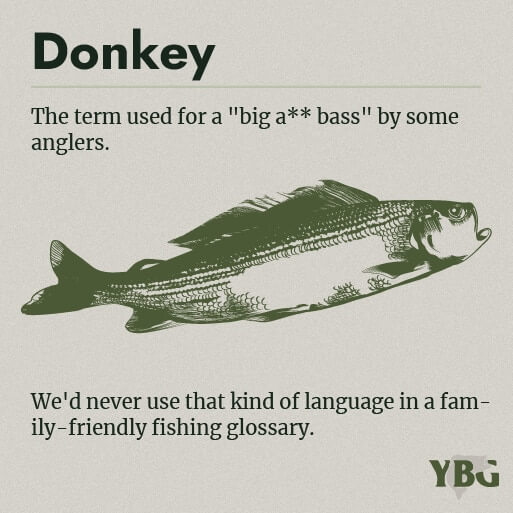 Donkey: The term used for a "big a** bass"