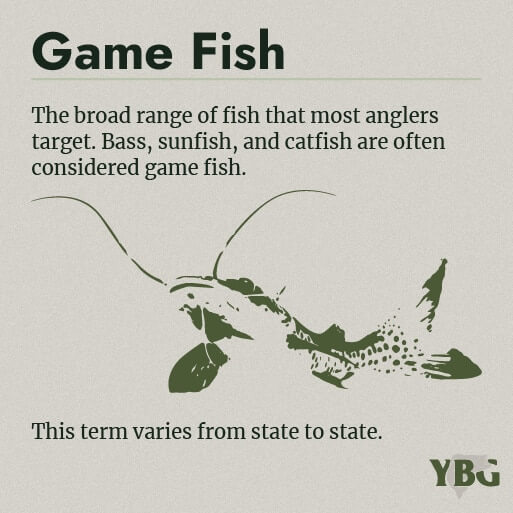 Game Fish: The broad range of fish that most anglers target