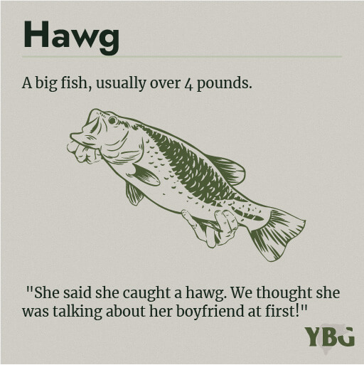 Hawg: A big fish, usually over 4 pounds