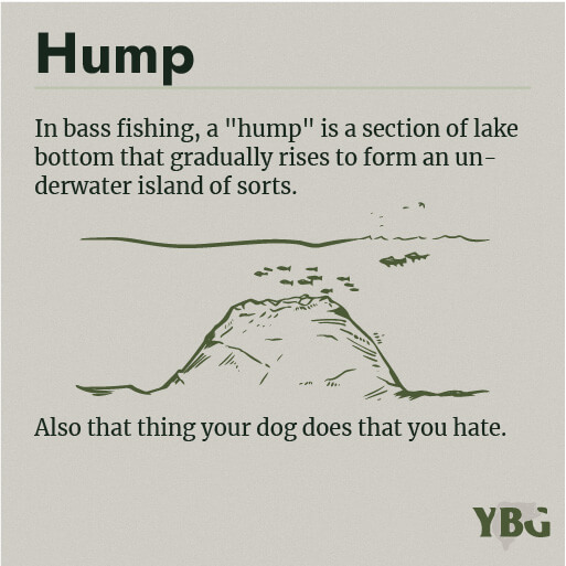 Hump: In bass fishing, a "hump" is a section of lake bottom that gradually rises