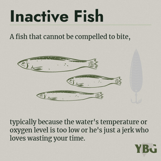 Inactive Fish: A fish that cannot be compelled to bite