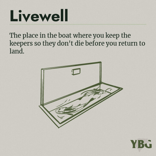 Livewell: The place in the boat where you keep the keepers