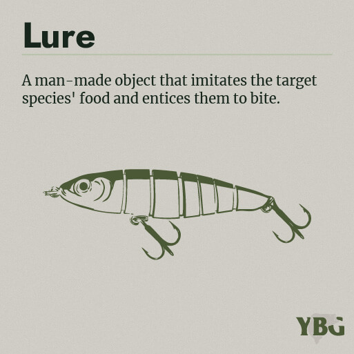 Lure: A man-made object that imitates the target species' food