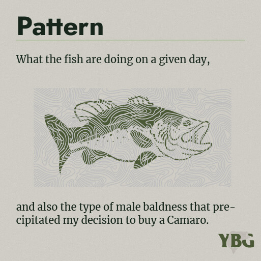 Pattern: What the fish are doing on a given day