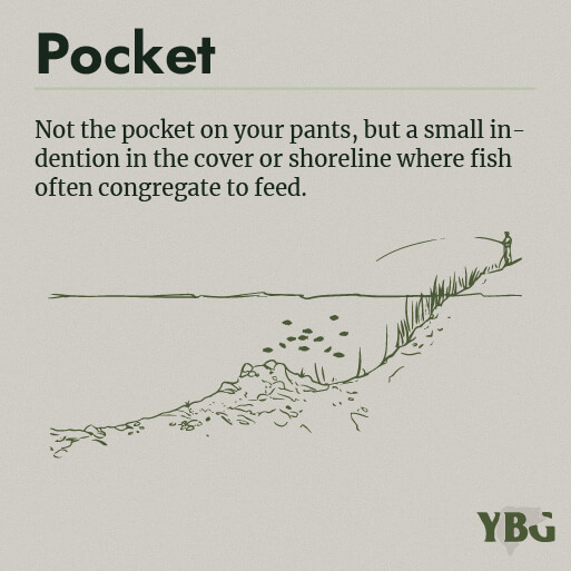 Pocket: A small indention in the cover or shoreline