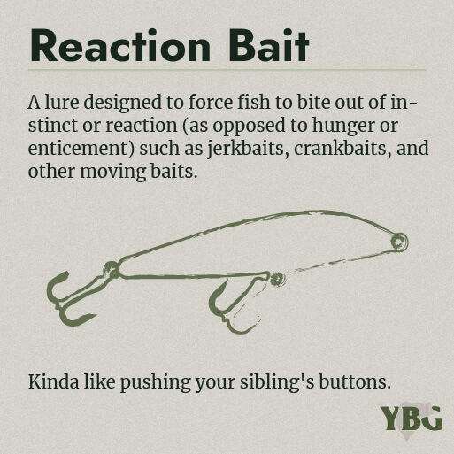 Reaction Bait: A lure designed to force fish to bite out of instinct or reaction