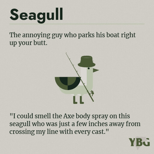 Seagull: The annoying guy who parks his boat right up your butt