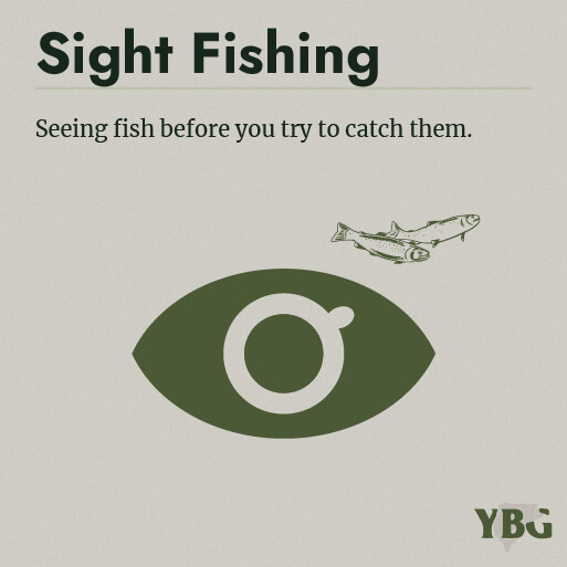 Sight Fishing: Seeing fish before you try to catch them