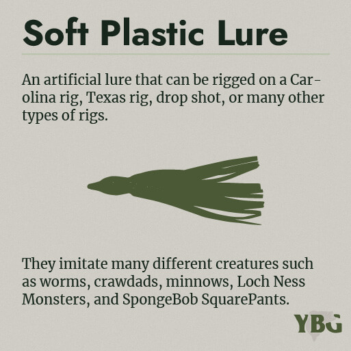 Soft Plastic Lure: An artificial lure that can be rigged on a Carolina rig, Texas rig, drop shot, or many other types of rigs