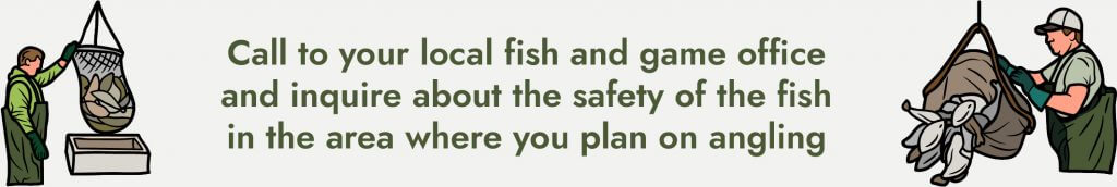 Call to your local fish and game office and inquire about the safety of the fish...