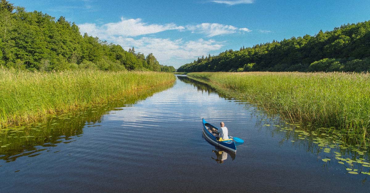 Top 10 Best Kayak Trolling Motors: Honest Reviews From a Kayak Angler