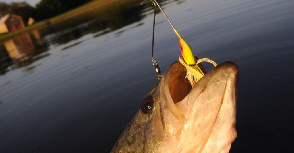 How to Tie a Spinner Bait: Complete Step-by-Step Walkthrough 