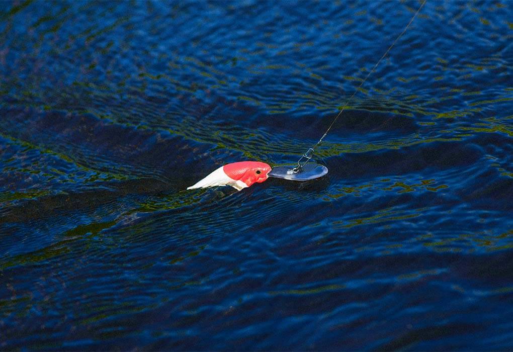 crankbait fishing lure in the water