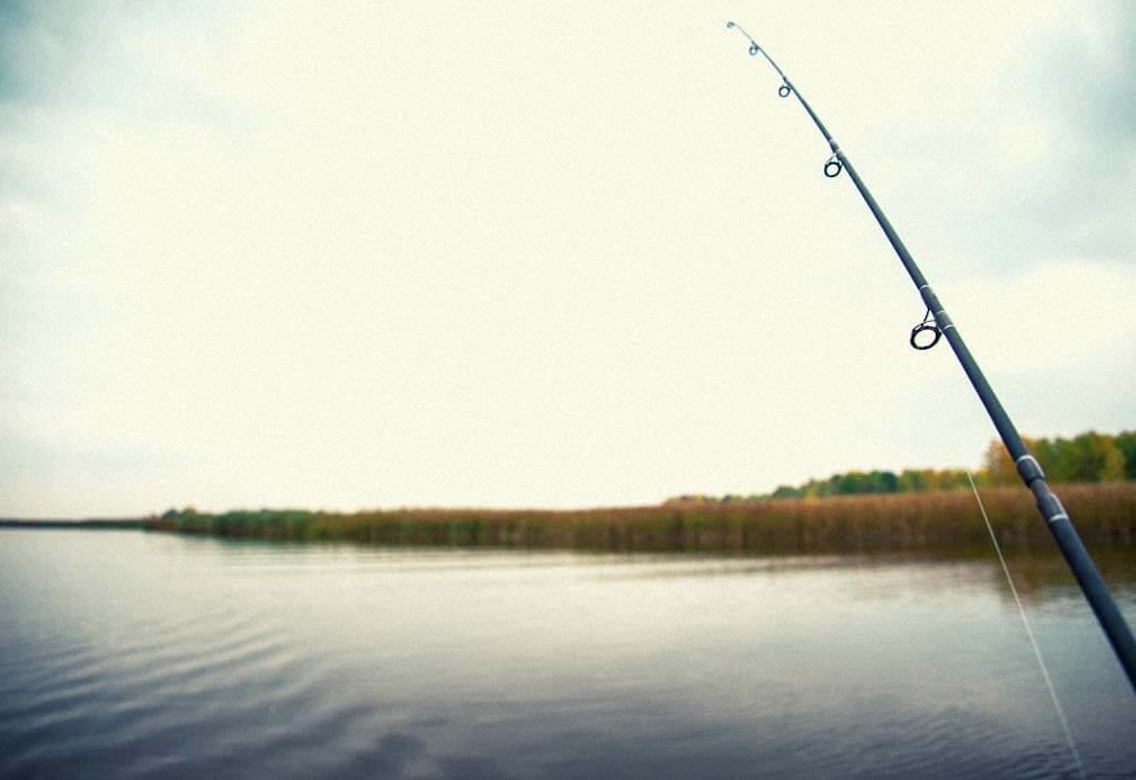 crankbait rod, fishing on a lake