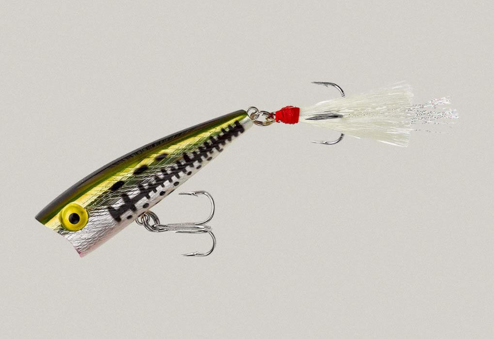 topwater poppers for shore fishing