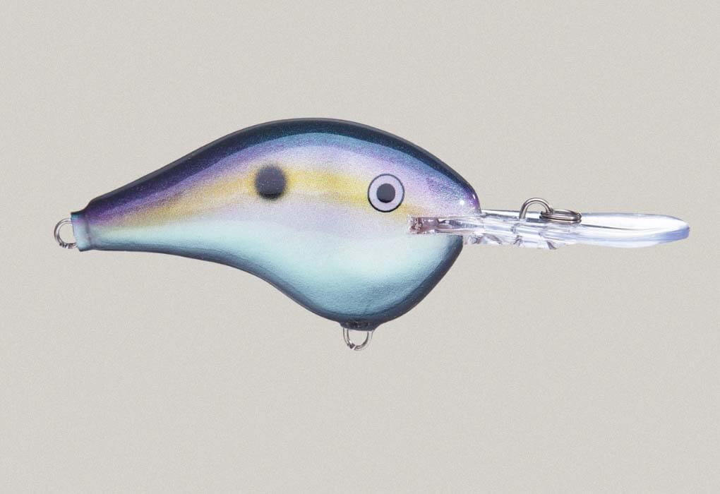  Rapala’s DT (Down-To) Series crankbaits get baits down to depths where bass hold.