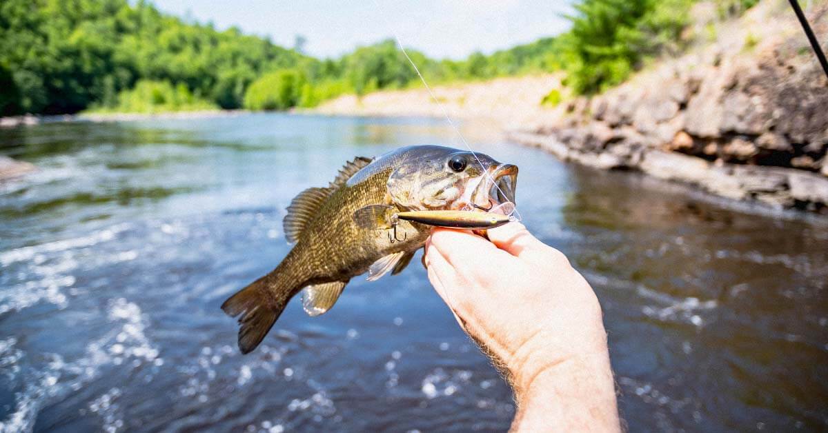Summer Bass Fishing: Beat These Heat With These Hot Takes