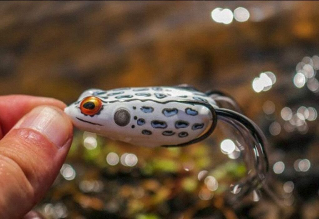 frogs - bass fishing lures