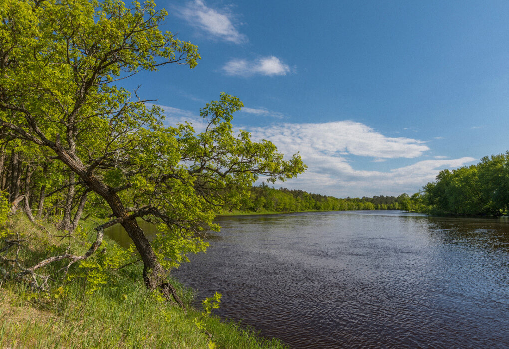The Mississippi River - Best Minnesota Bass Fishing