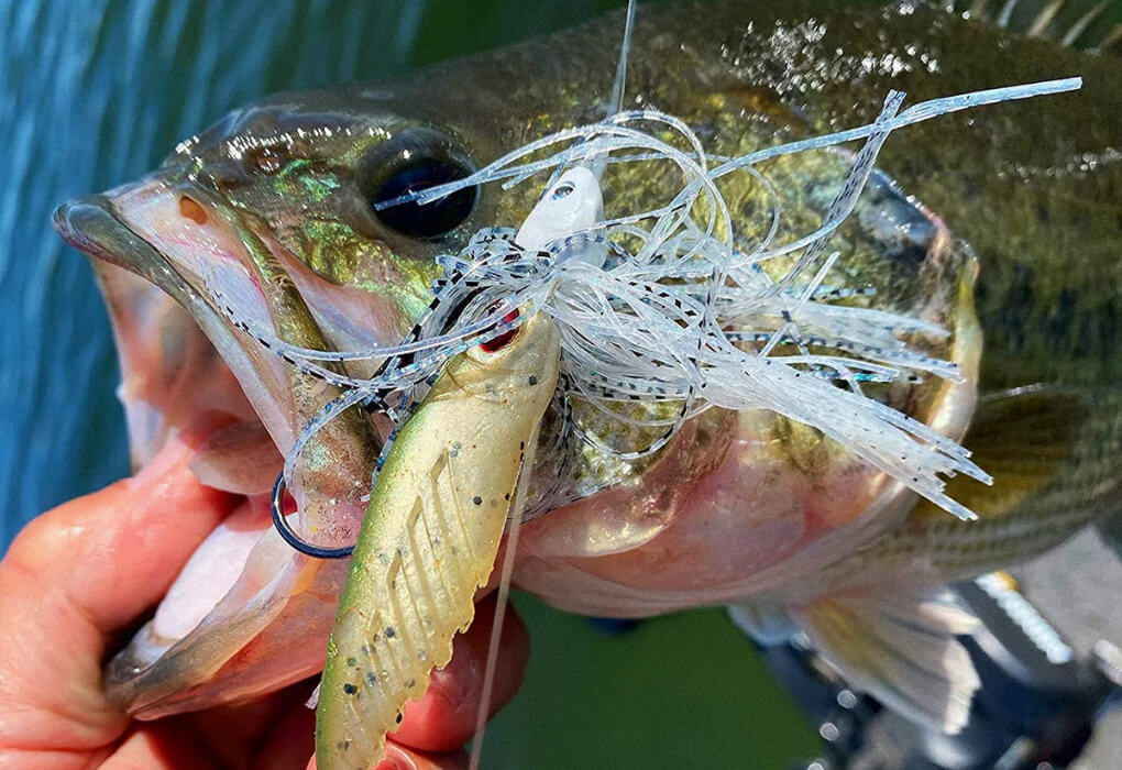 jigs, the best lures for river bass fishing