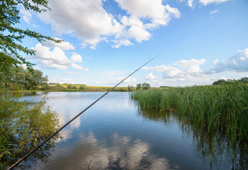 springtime fishing on a lake