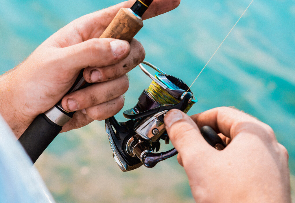 spinning reel is necessary for damiki rig