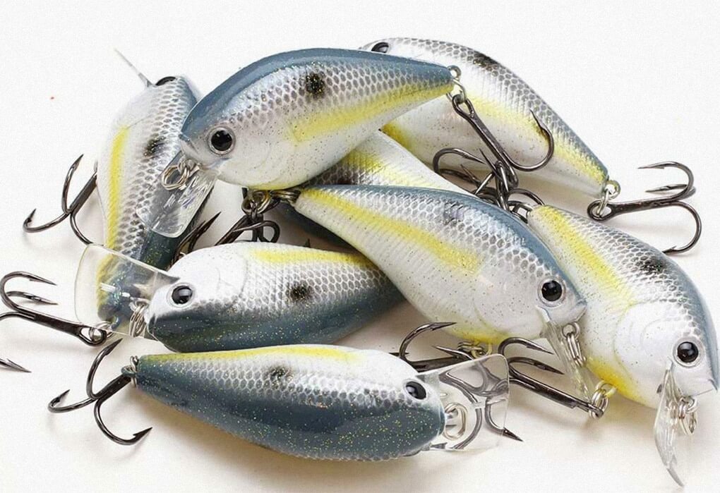The Lucky Craft Squarebill Crankbait is one of Takahiro Omori’s not-so-secret weapons (photo courtesy of Lucky Craft)