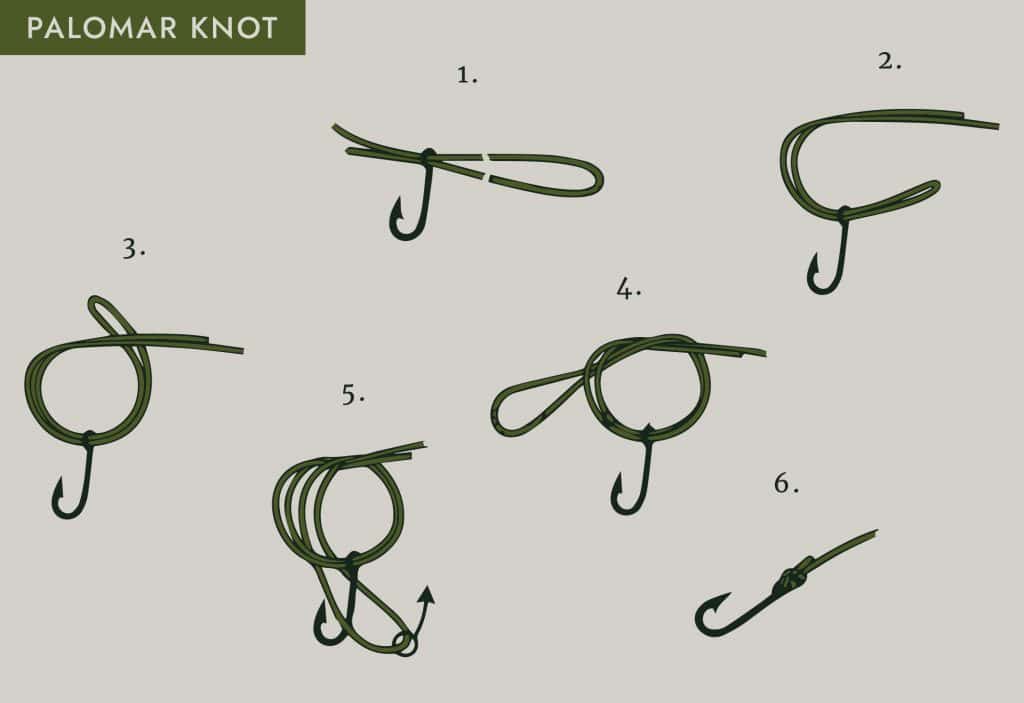 palomar knot